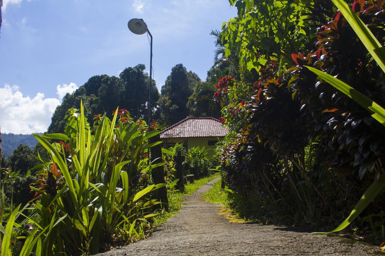 Aryautama Garden Villa Munduk Eksteriør bilde