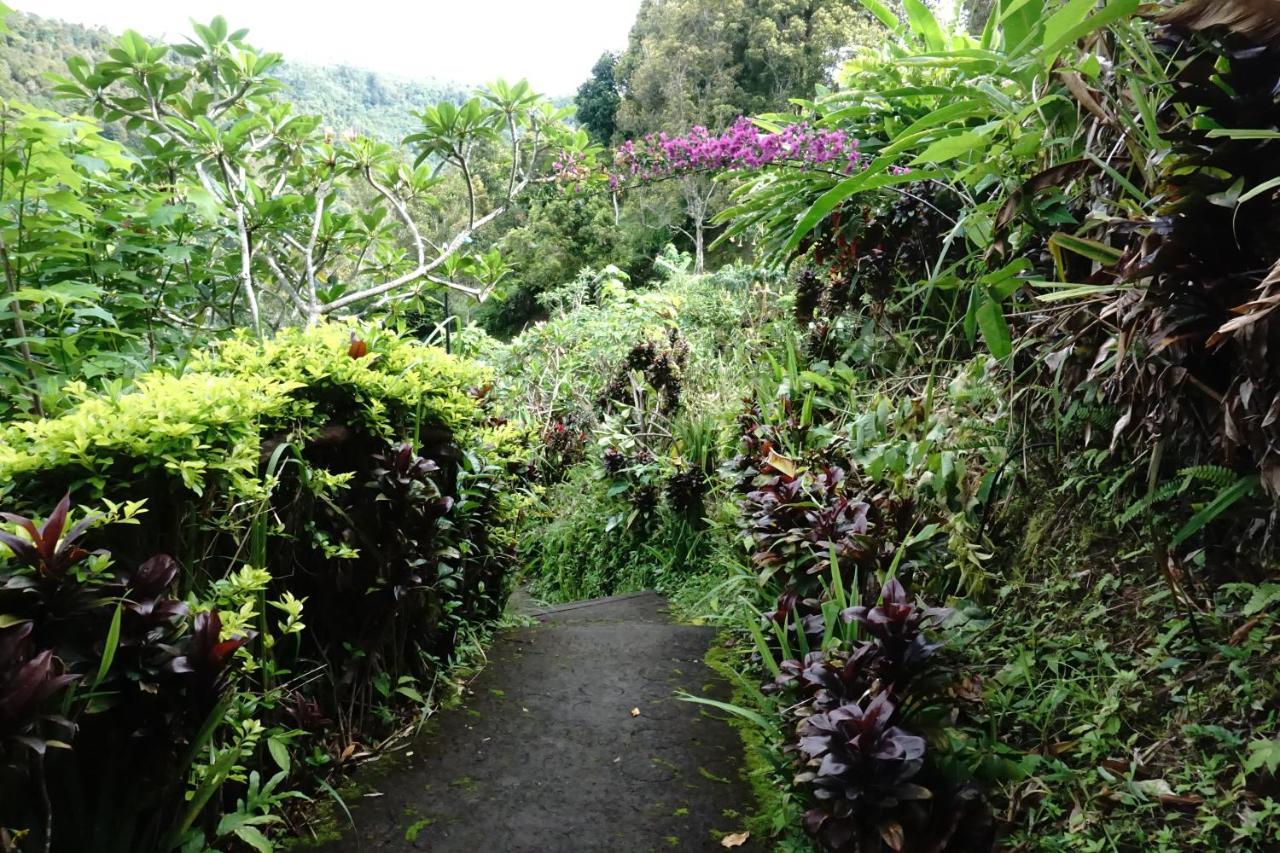 Aryautama Garden Villa Munduk Eksteriør bilde